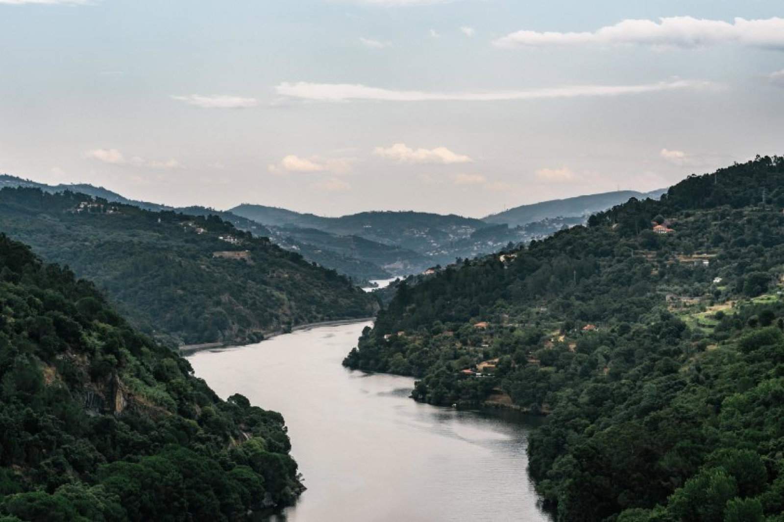 Scenic has resumed voyages on Portugal's Douro river (Credit: Maksym Kaharlytskyi / Unsplash)