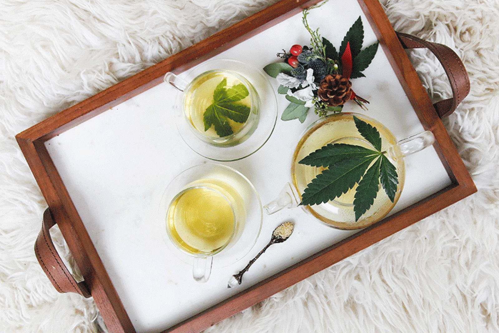 Cannabis tourism is on the rise (Credit: Kimzy Nanney / Unsplash)