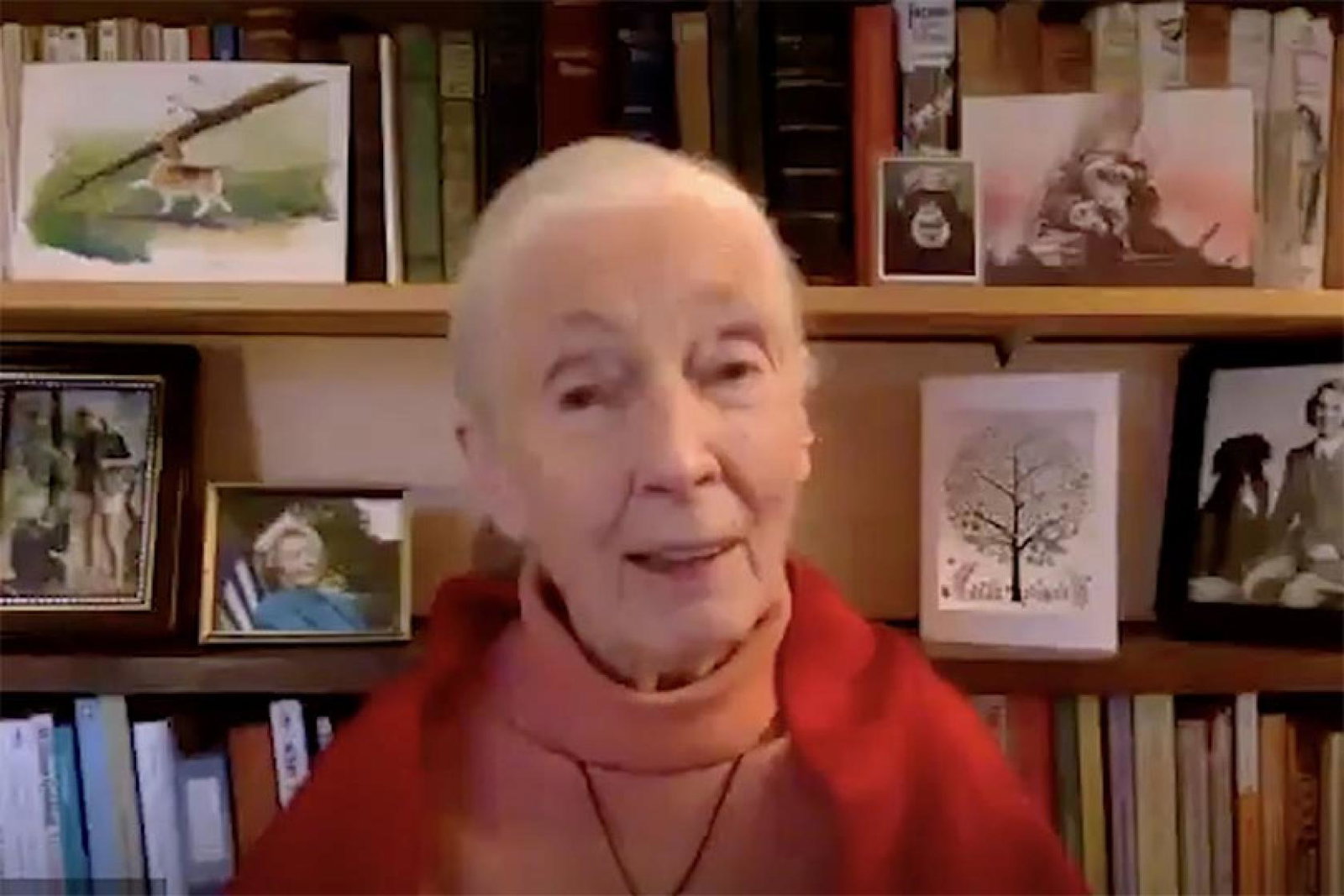 WTM Virtual: 'We brought the pandemic on ourselves', says conservationist Jane Goodall