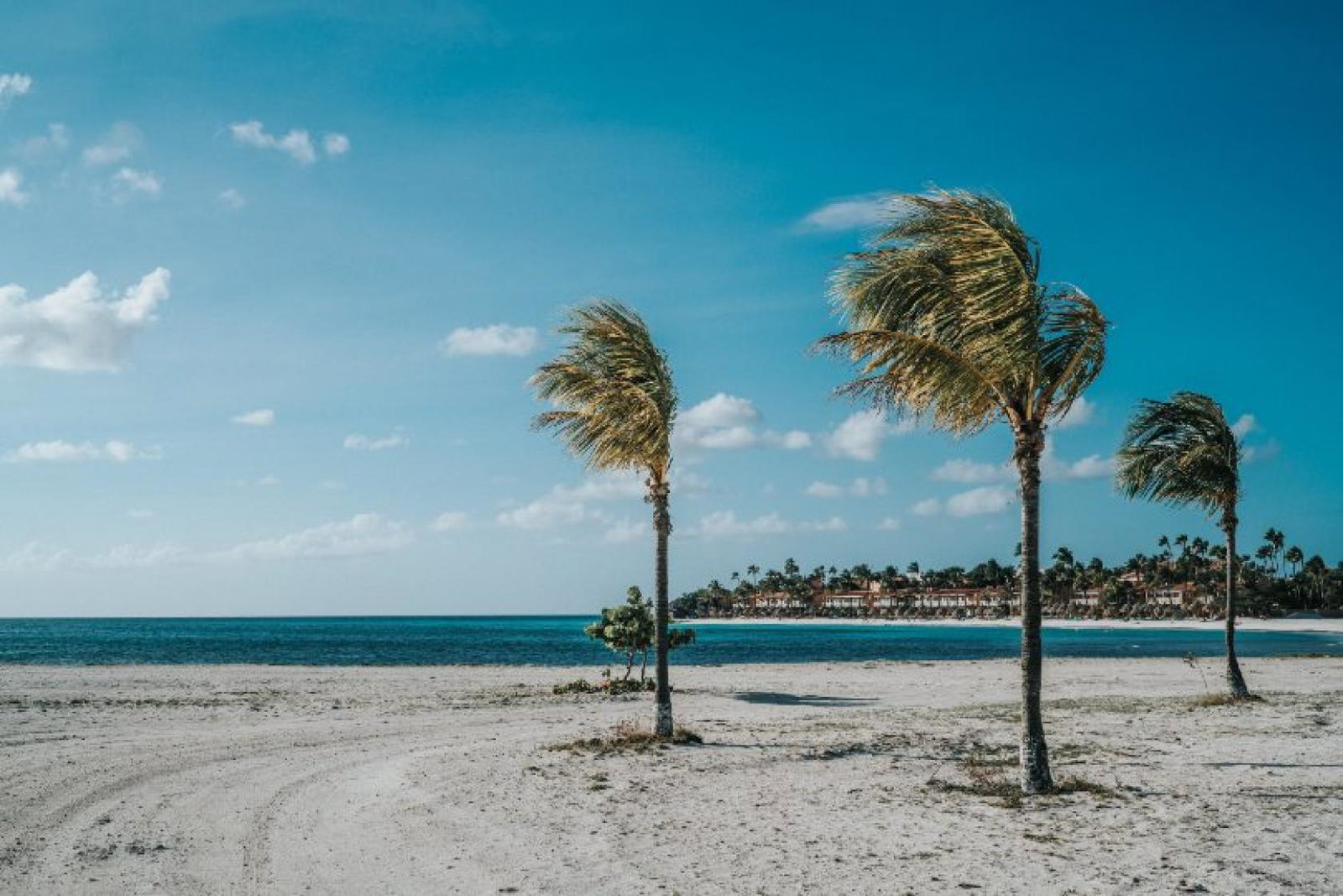 Aruba (Credit: David Troeger / Unsplash)