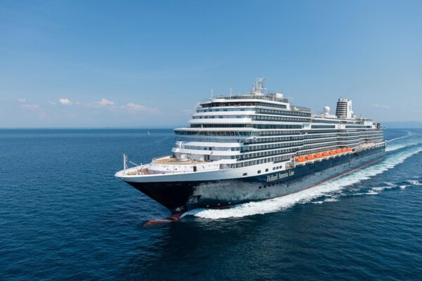 Nieuw Statendam Holland America Line.jpg