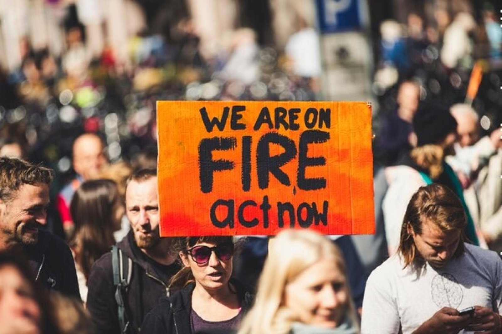 Climate Change Environment Sustainability (Credit: Markus Spiske / Unsplash) markus-spiske-cUhssb9roaU-unsplash.jpg