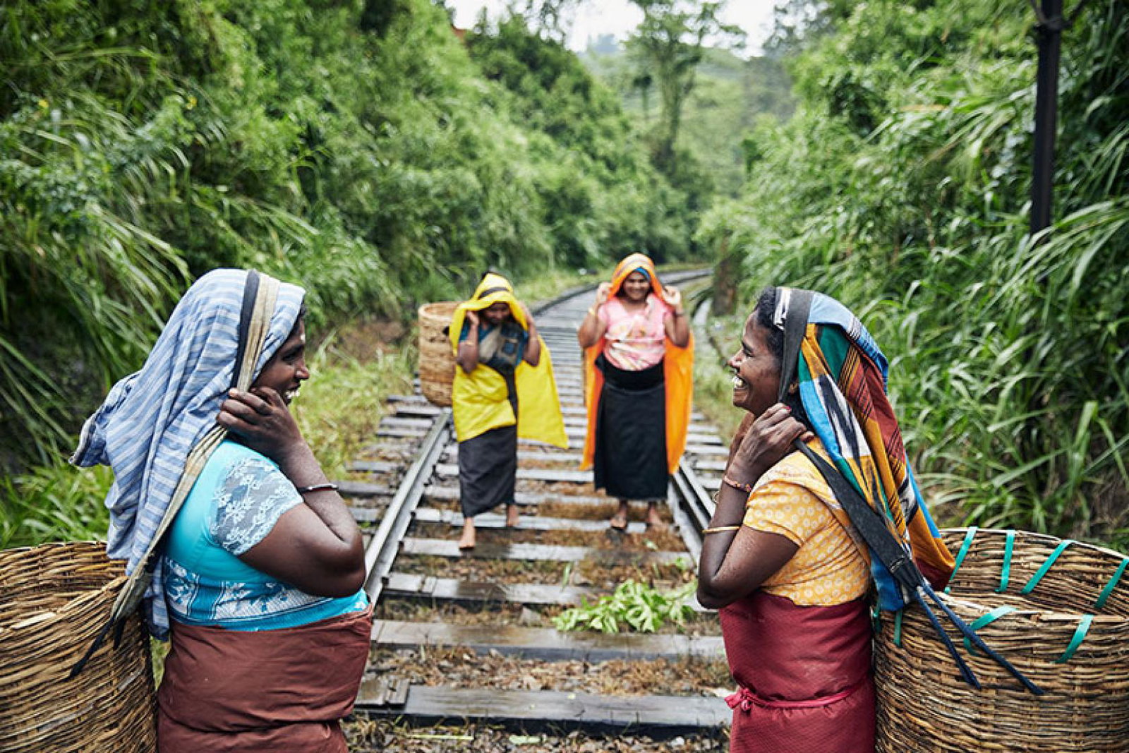Sri Lanka will be feature within the Revitalise Collection