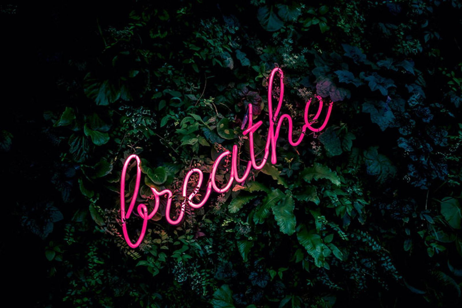Image: Fabian Moller, Unsplash
