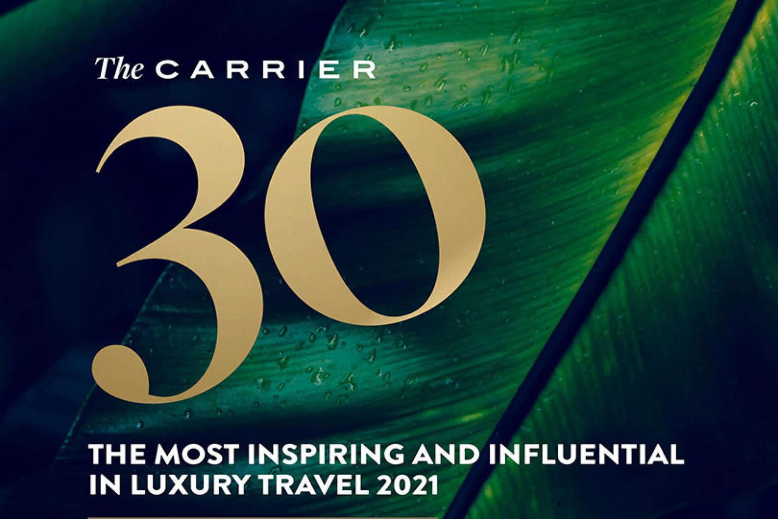 Carrier-30-web.jpg