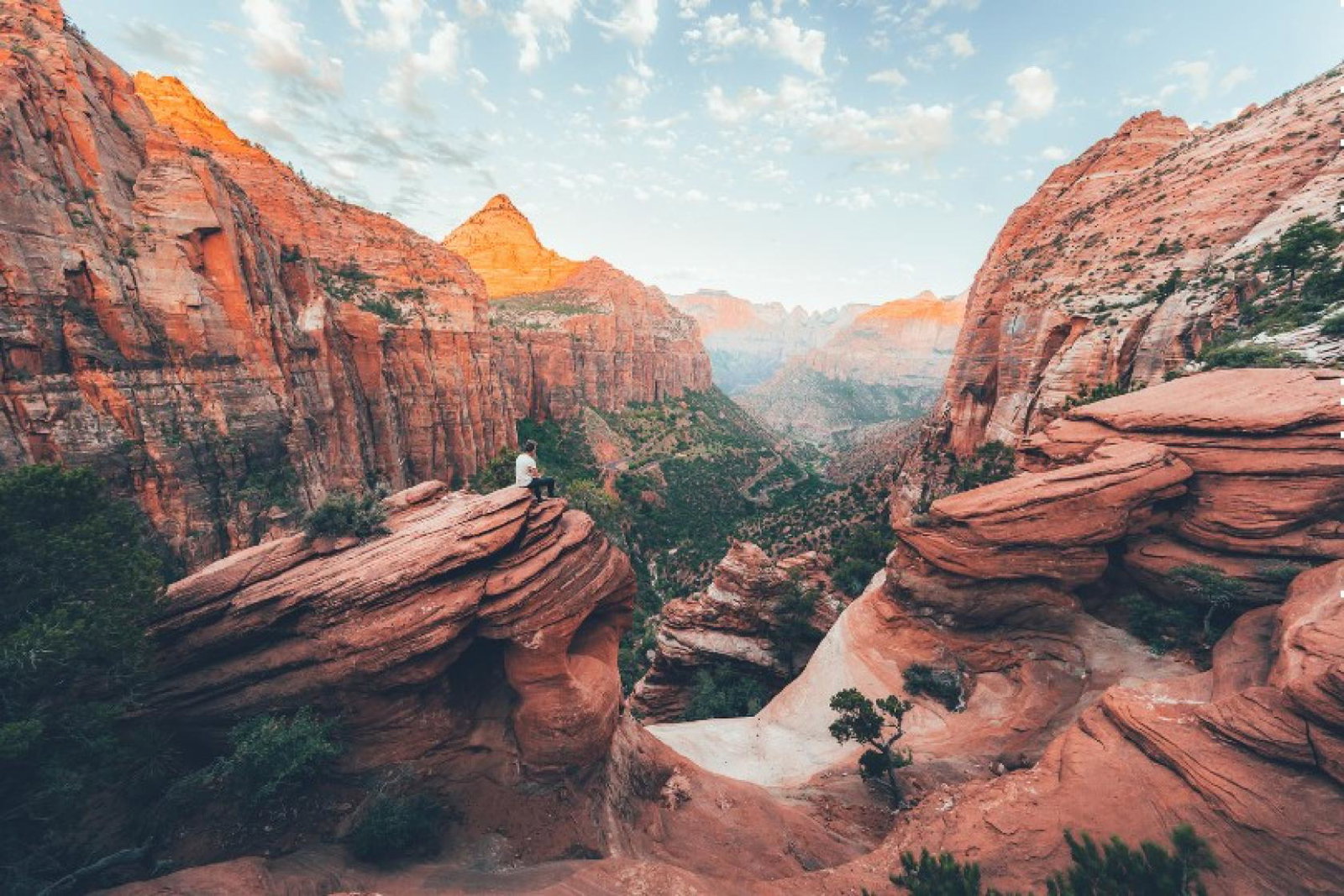 Most leisure bookings made during week commencing 8 November were for US departures in January (Credit: VisittheUSA.com)