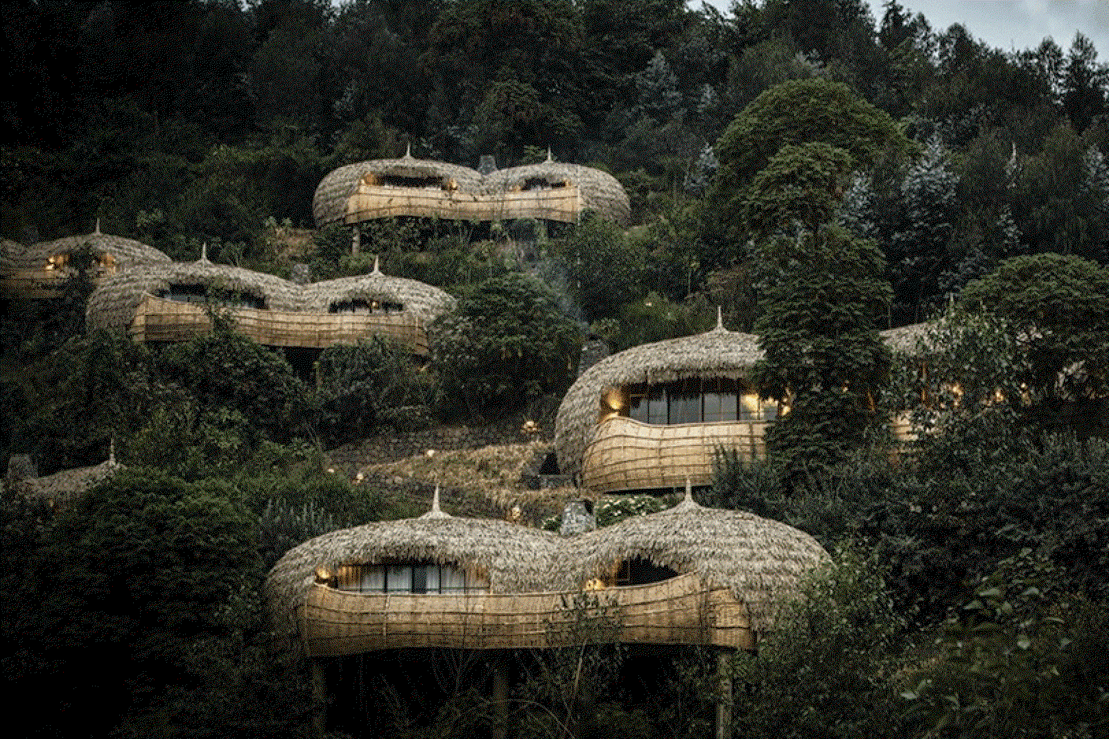 Wilderness Safaris Bisate Lodge in Rwanda is a founding hotel in Beyond Green