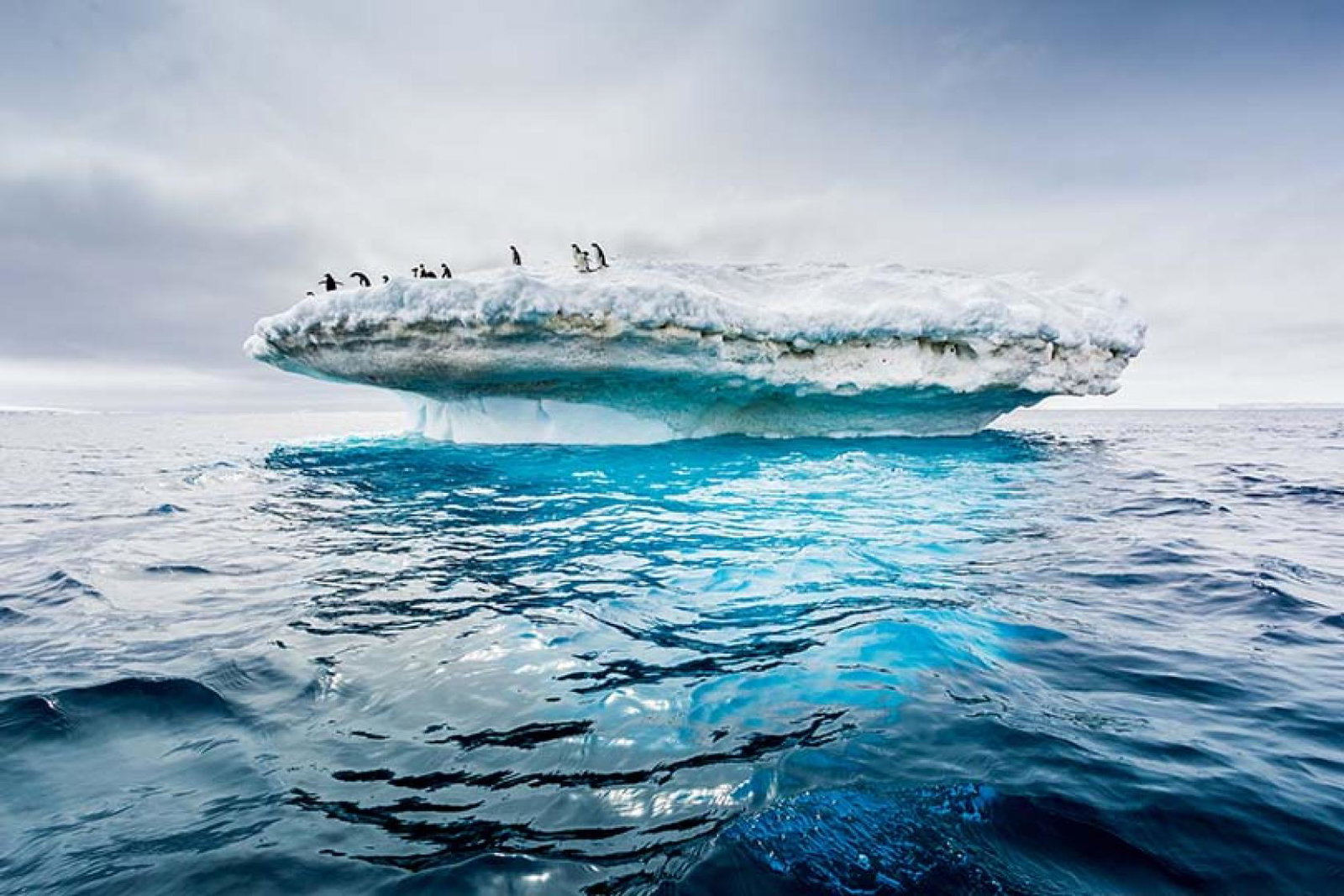 Levels of Antarctic sea ice last year dropped to record lows