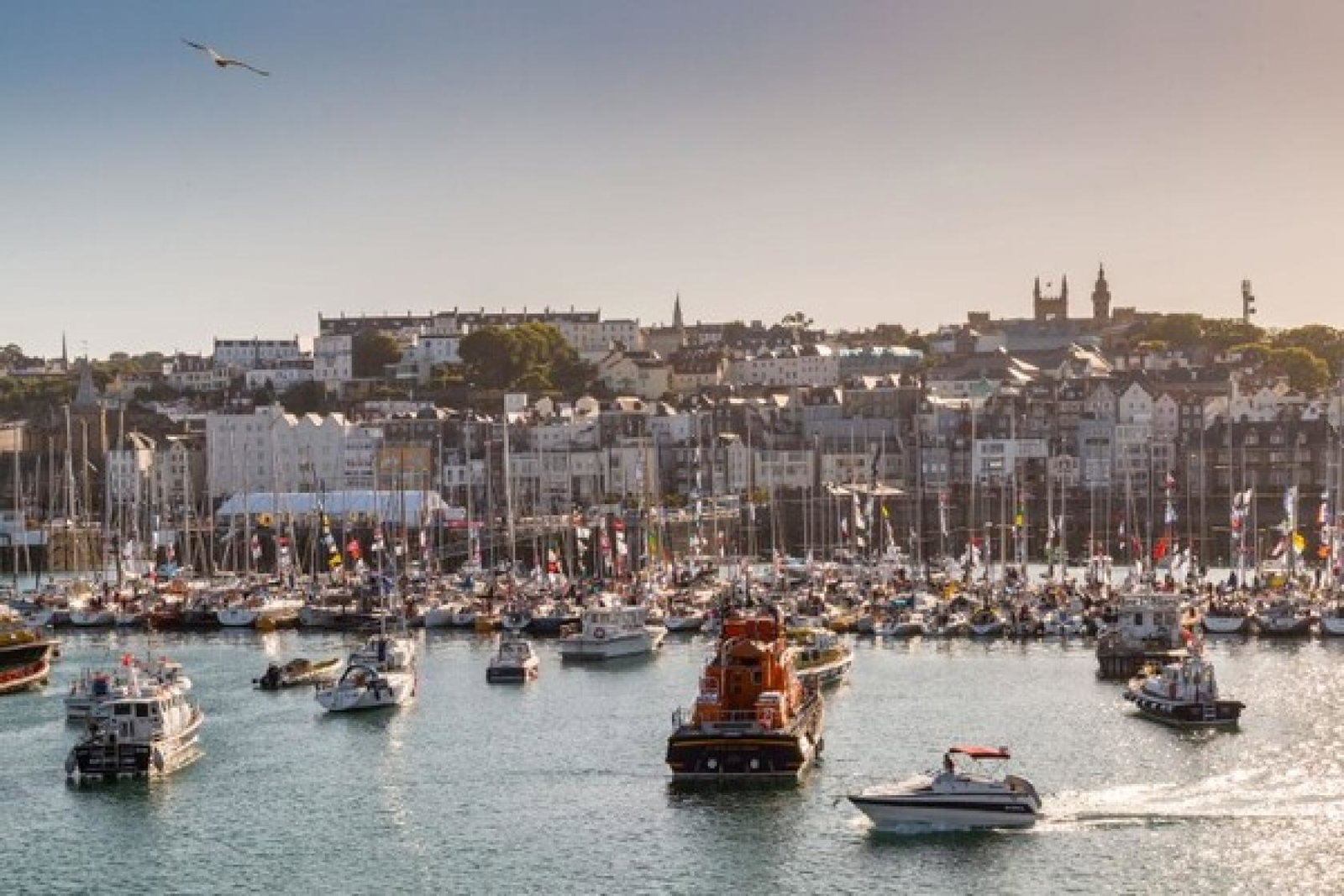 Could agents help a small island forge a better relationship with cruise?