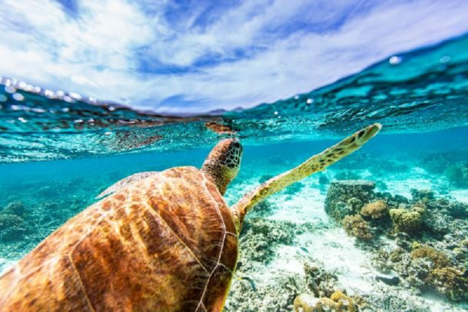 Sandals customers can take part in the schemes