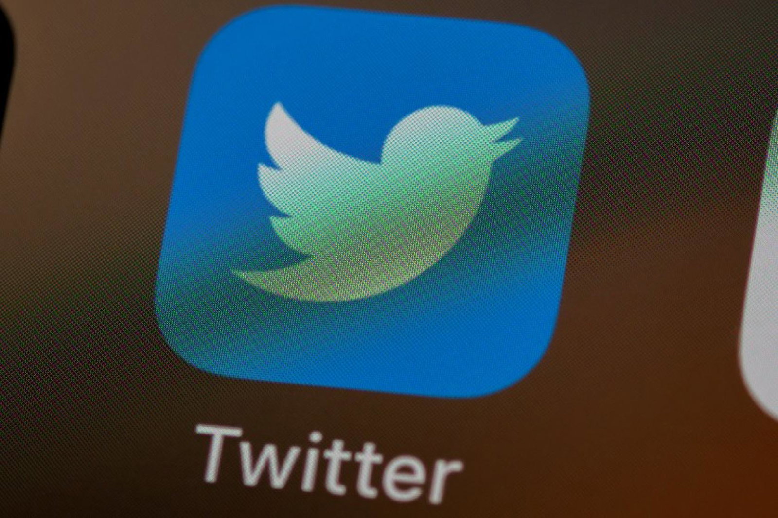The Twitterstorm will take place at 2pm on Tuesday (Credit: Brett Jordan / Unsplash)