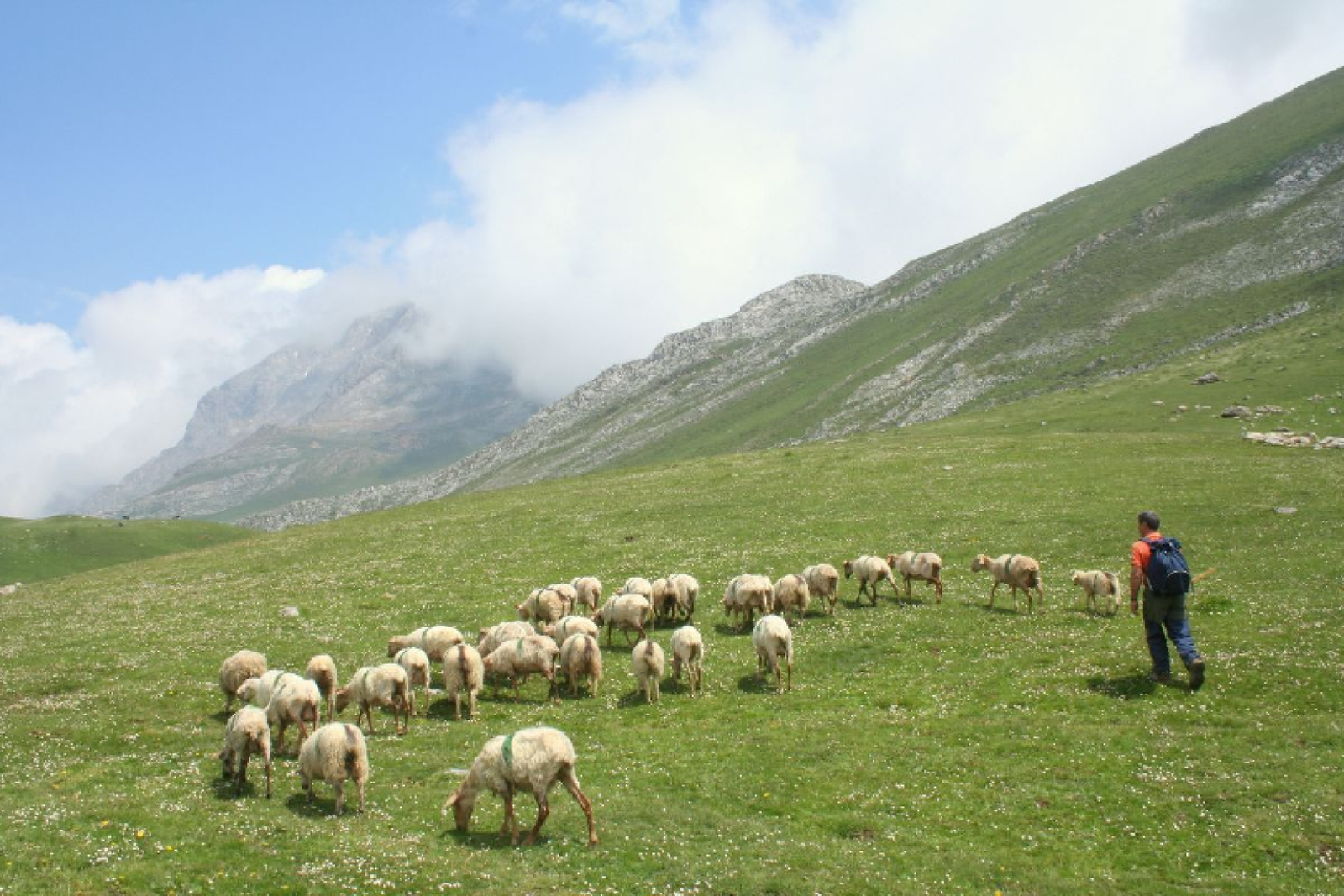 It claims to be the first tour operator in the UK to make the move