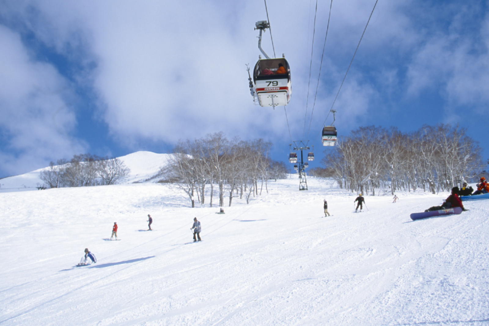 Bramble Ski was founded in 2005