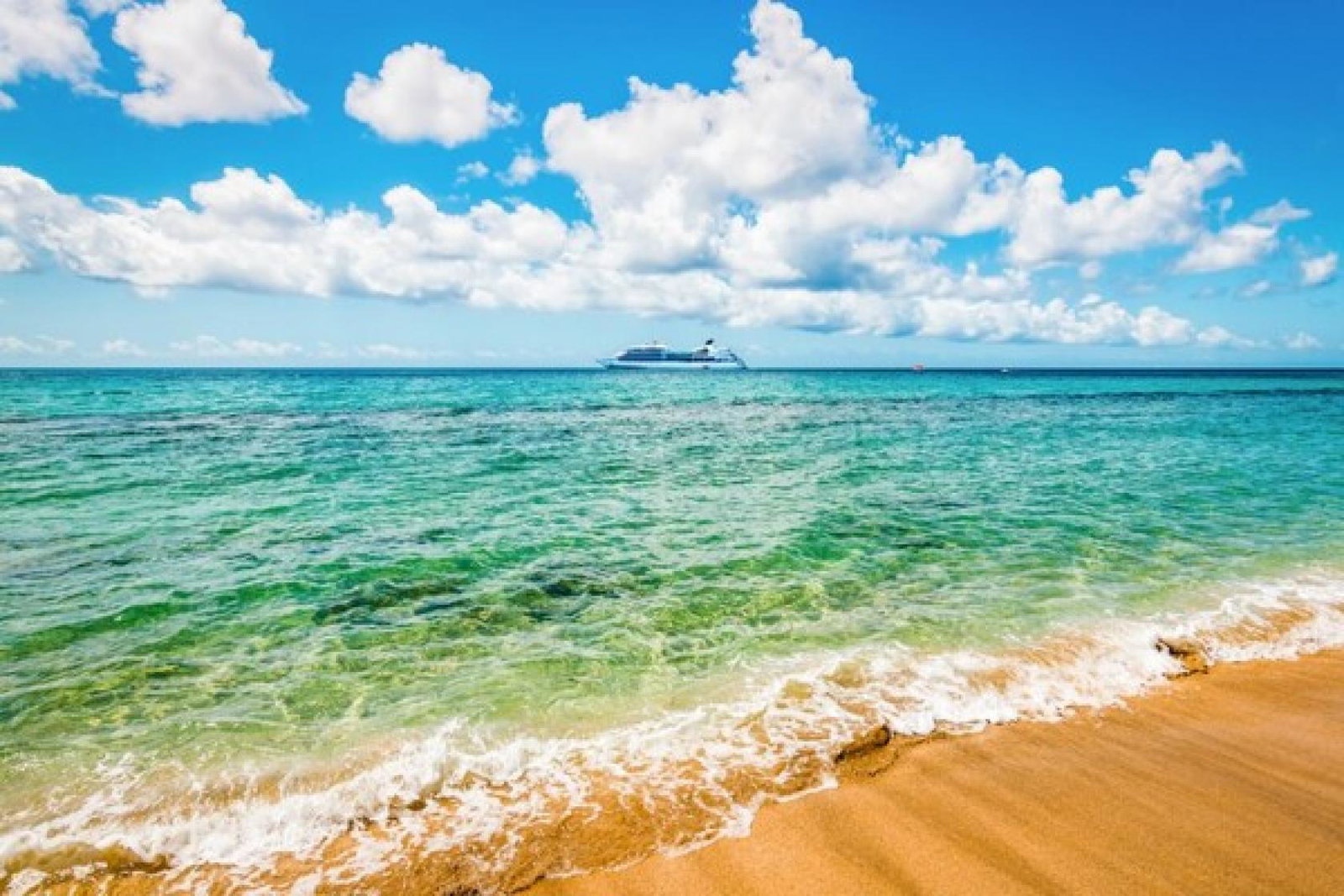 Cruise sector on course for record year in 2023, says Clia chief