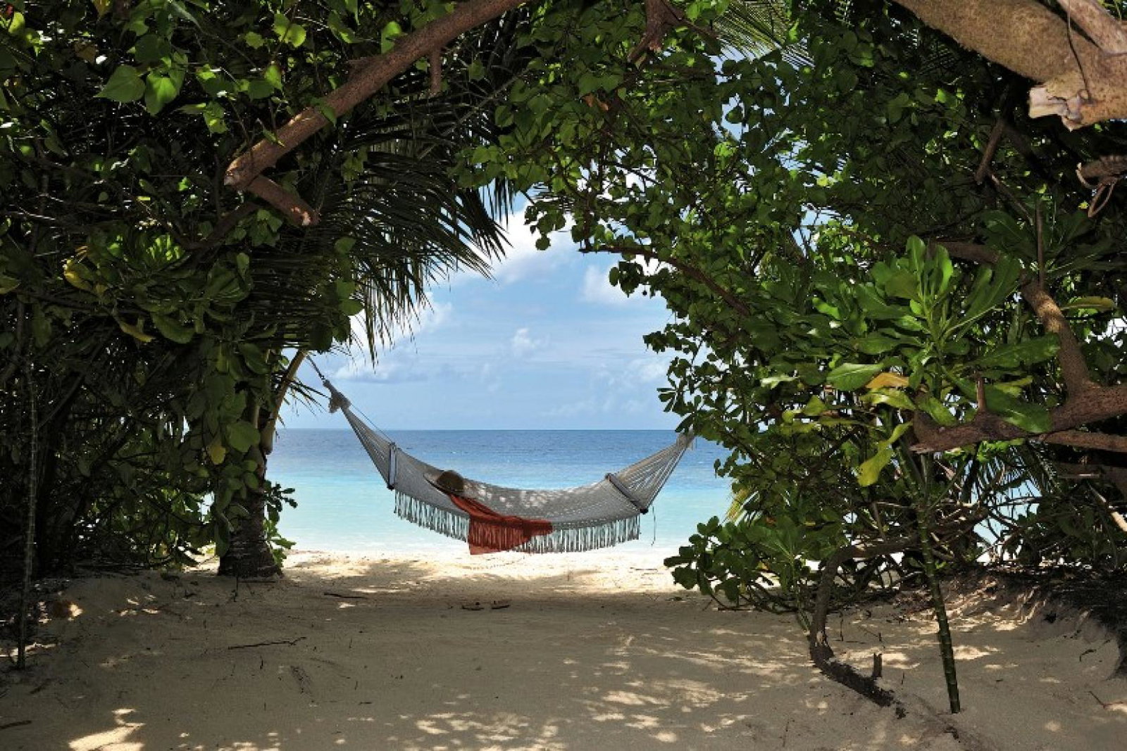Additions include Lily Beach in the Maldives (Credit: Kuoni)