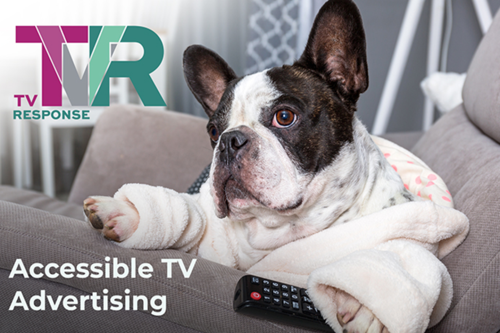 TV ad agency offering 'feasible alternative' for smaller brands
