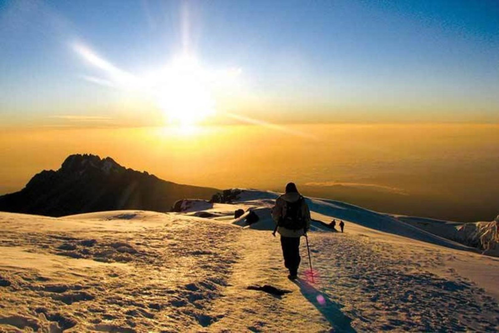 This year's trek will take place virtually summiting Mount Kilimanjaro between 23-27 September