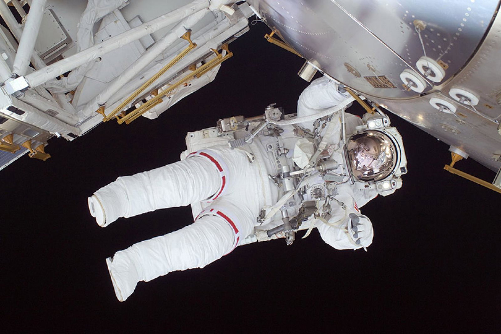 Private individuals will be able to embark on space walks and many other stellar opportunities