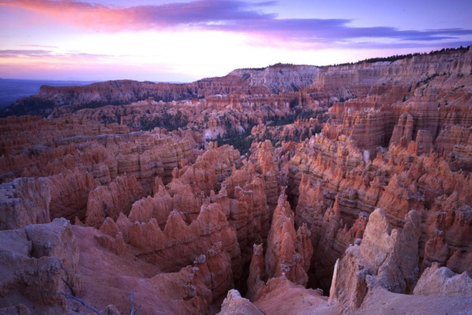 The trips will allow clients to explore US National Parks and off-the-beaten-track sights (Credit: Abercrombie & Kent)