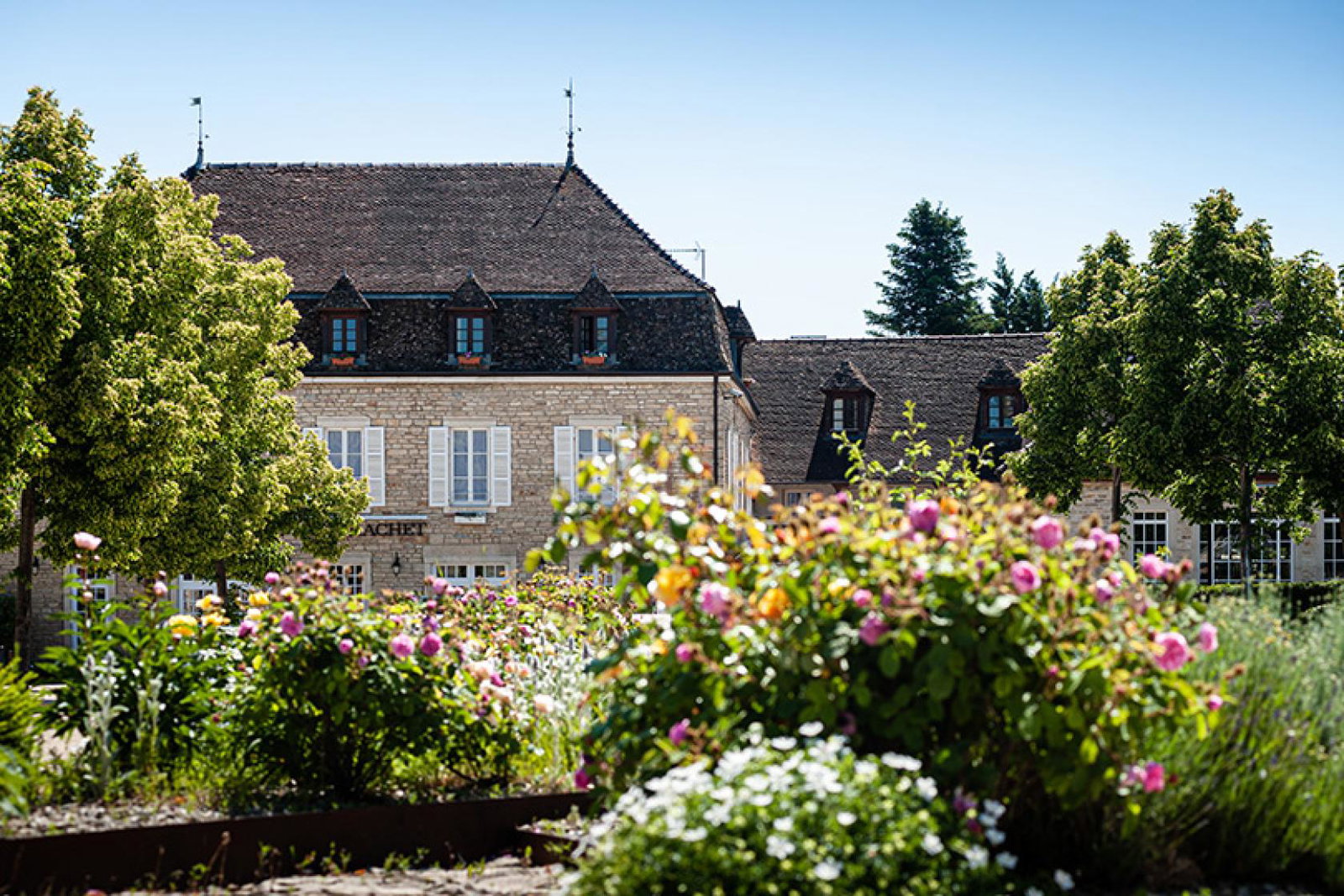 COMO Le Montrachet is to open under the brand in 2022