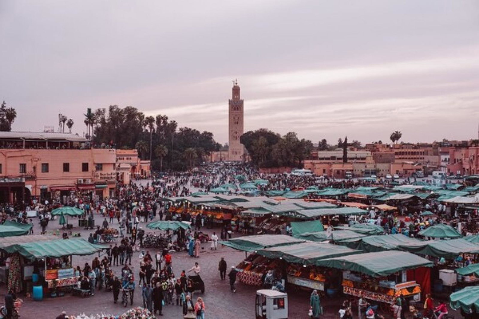Marrakesh Morocco (Credit: Beatrice Sana / Unsplash) beatrice-sana-9_xnKWRZWzU-unsplash.jpg