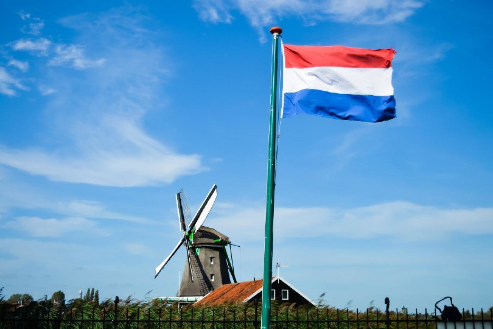 The Netherlands is easing its testing rules (Credit: Joao Guimaraes / Unsplash)