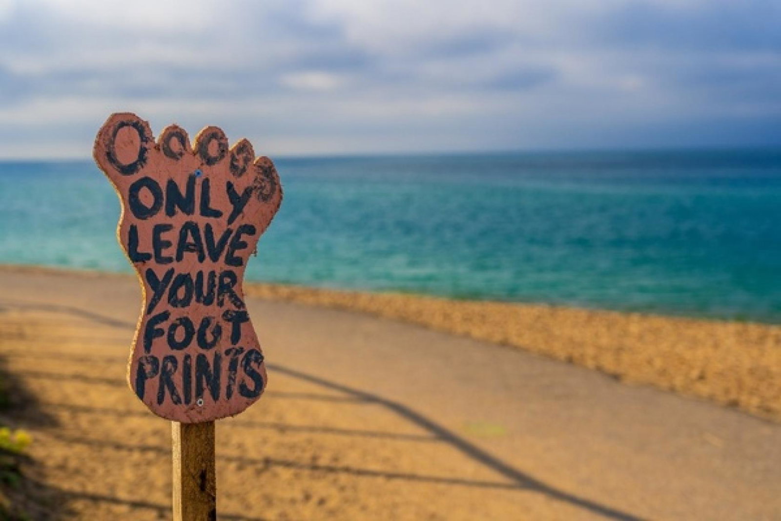 Kuoni's new report has also looked at improving support for animal welfare (Image credit: Nick Fewings/Unsplash)
