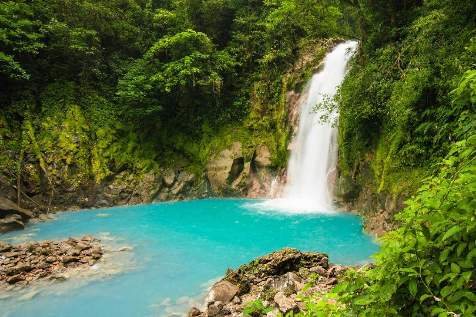 The operator held tours to Costa Rica, Kenya and Sri Lanka