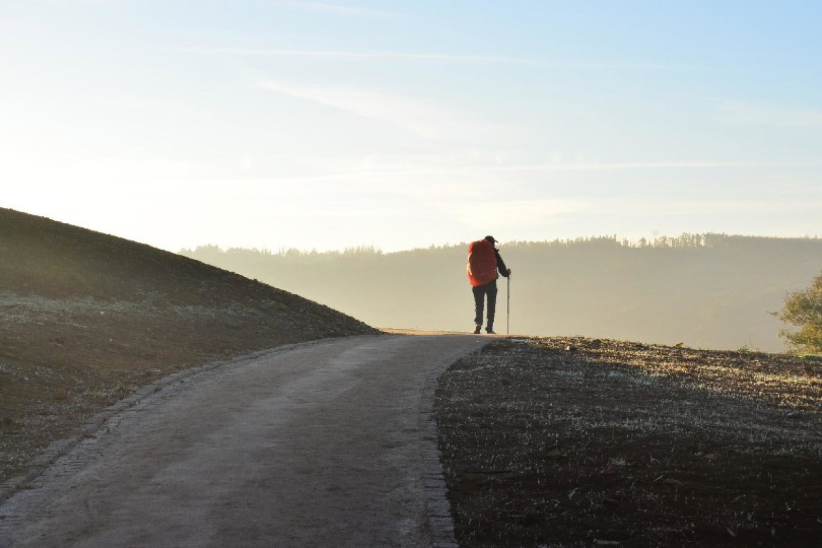 Pax Travel specialised in Christian pilgrimages (Credit: Jorge Luis Ojeda/Unsplash)