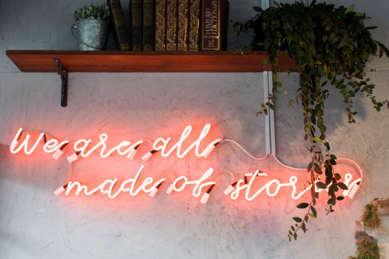 (Credit: Social Cut / Unsplash)