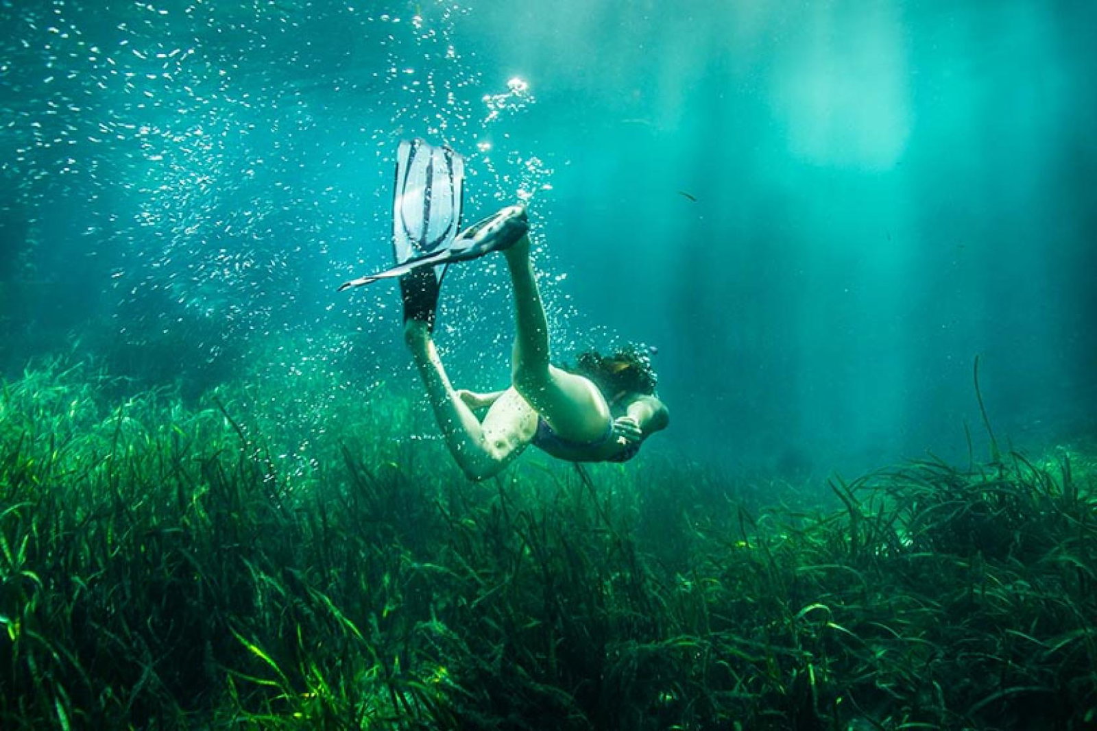 Ocala Springs was among the Floridian destinations showing the biggest growth in UK visitors