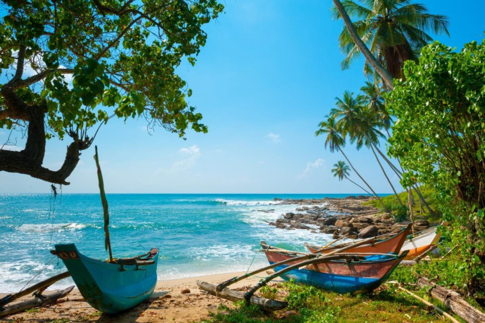 The operator will offer tours to Sri Lanka in 2024 (Credit: Mercury Holidays)