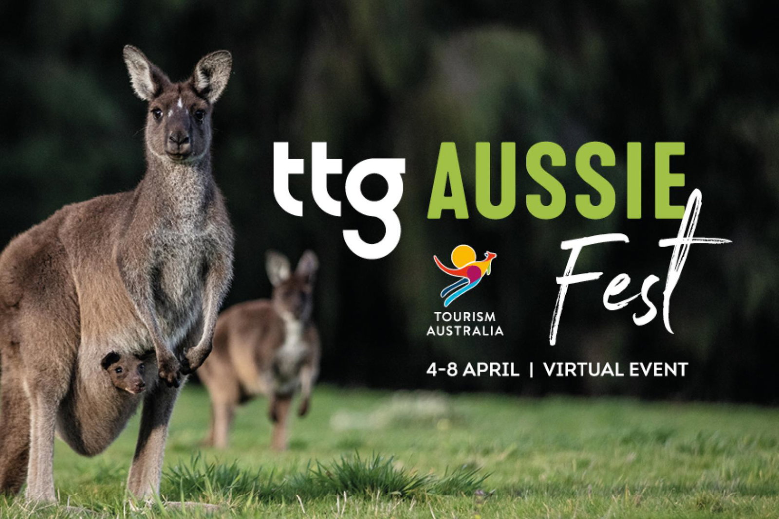 Aussie Fest 22 Thumbnail.jpg