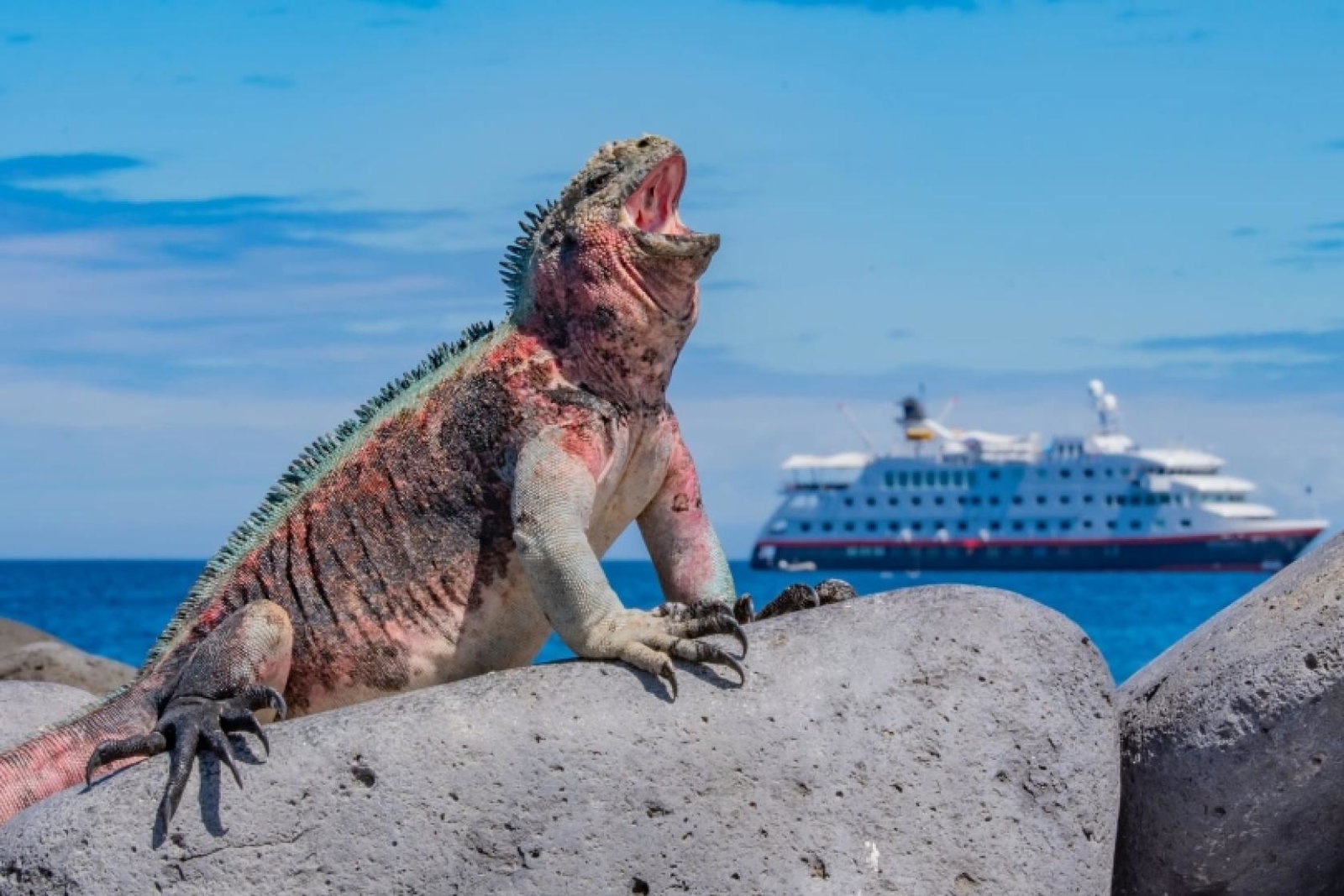The partnership broadens Hurtigruten Group’s portfolio of products in "iconic, natural destinations"