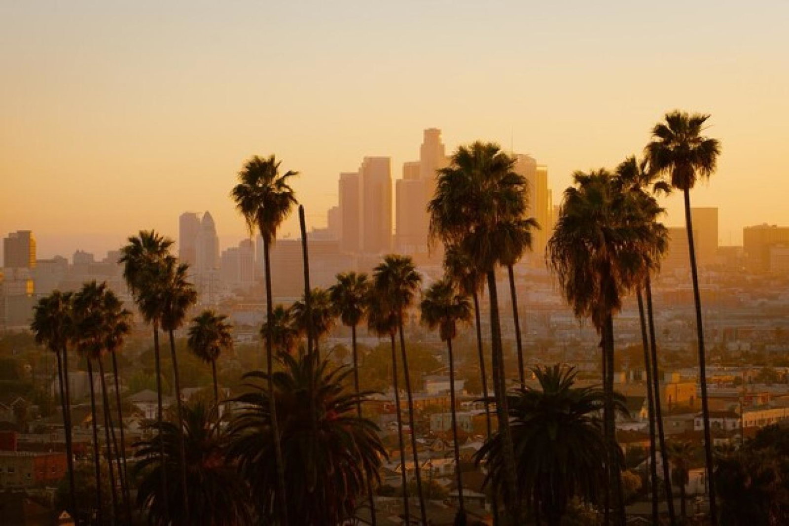 Los Angeles (credit: Cedric Letsch/Unsplash)