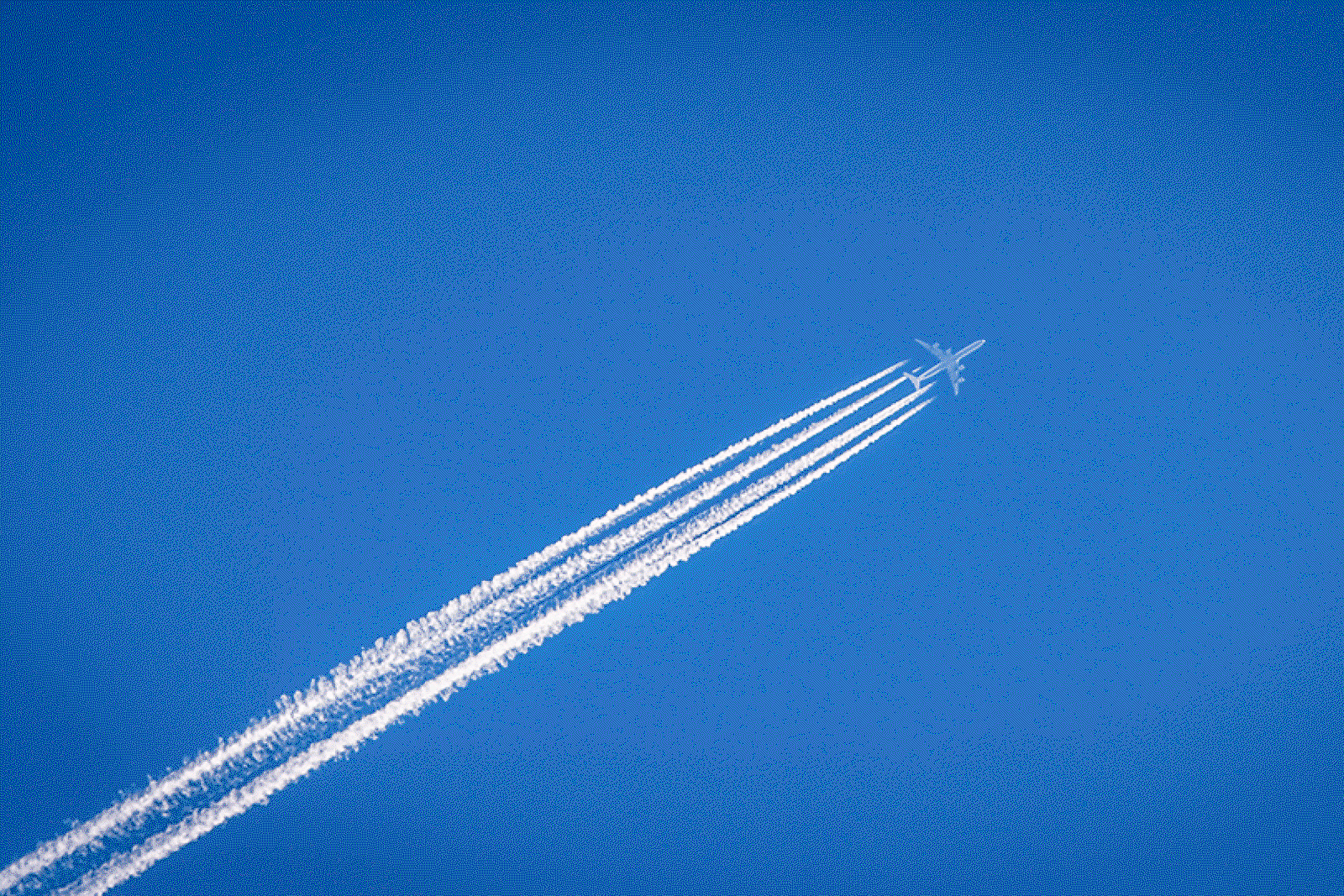 Sustainability will spread via the supply chain