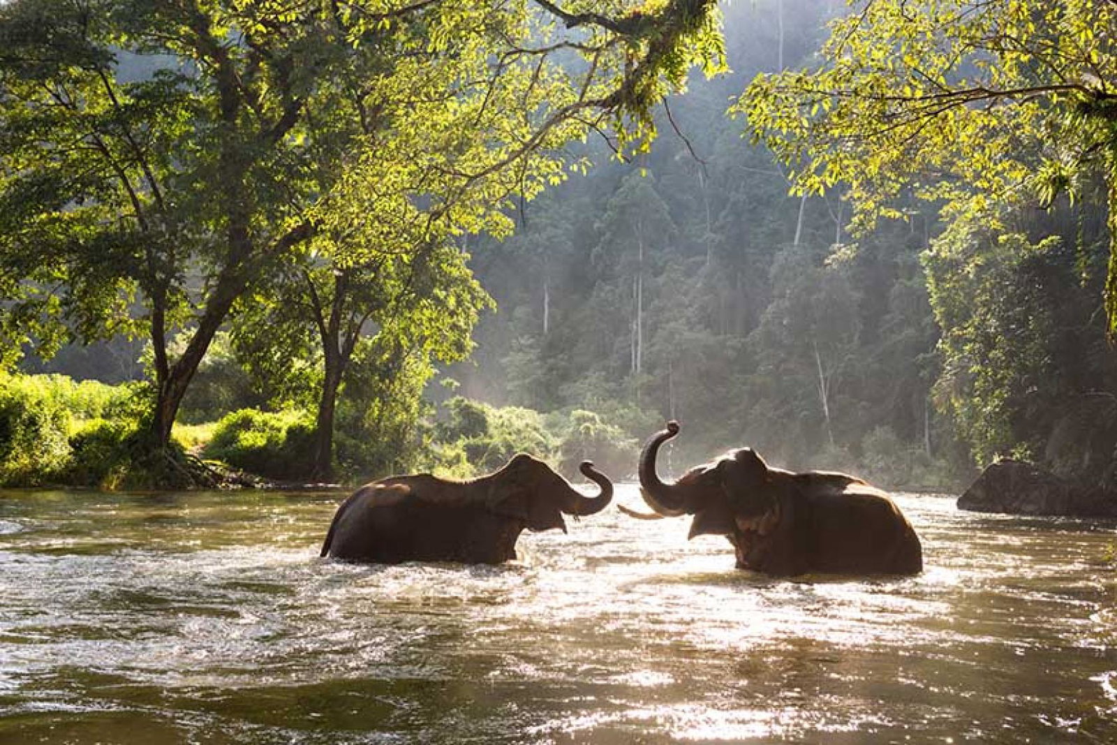 ‘Whatever your role, you can help customers understand which animal activities to avoid’