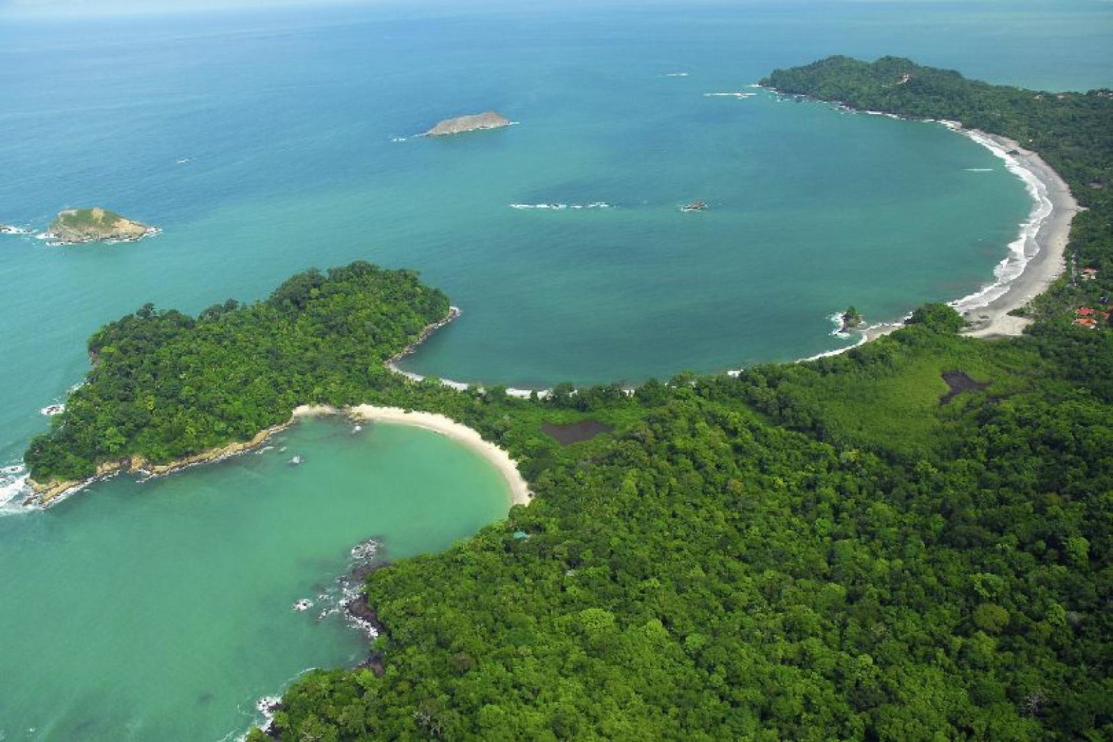 Clients can contribute to projects that plant forests by using the ICT's new carbon calculator. Credit: Manuel Antonio