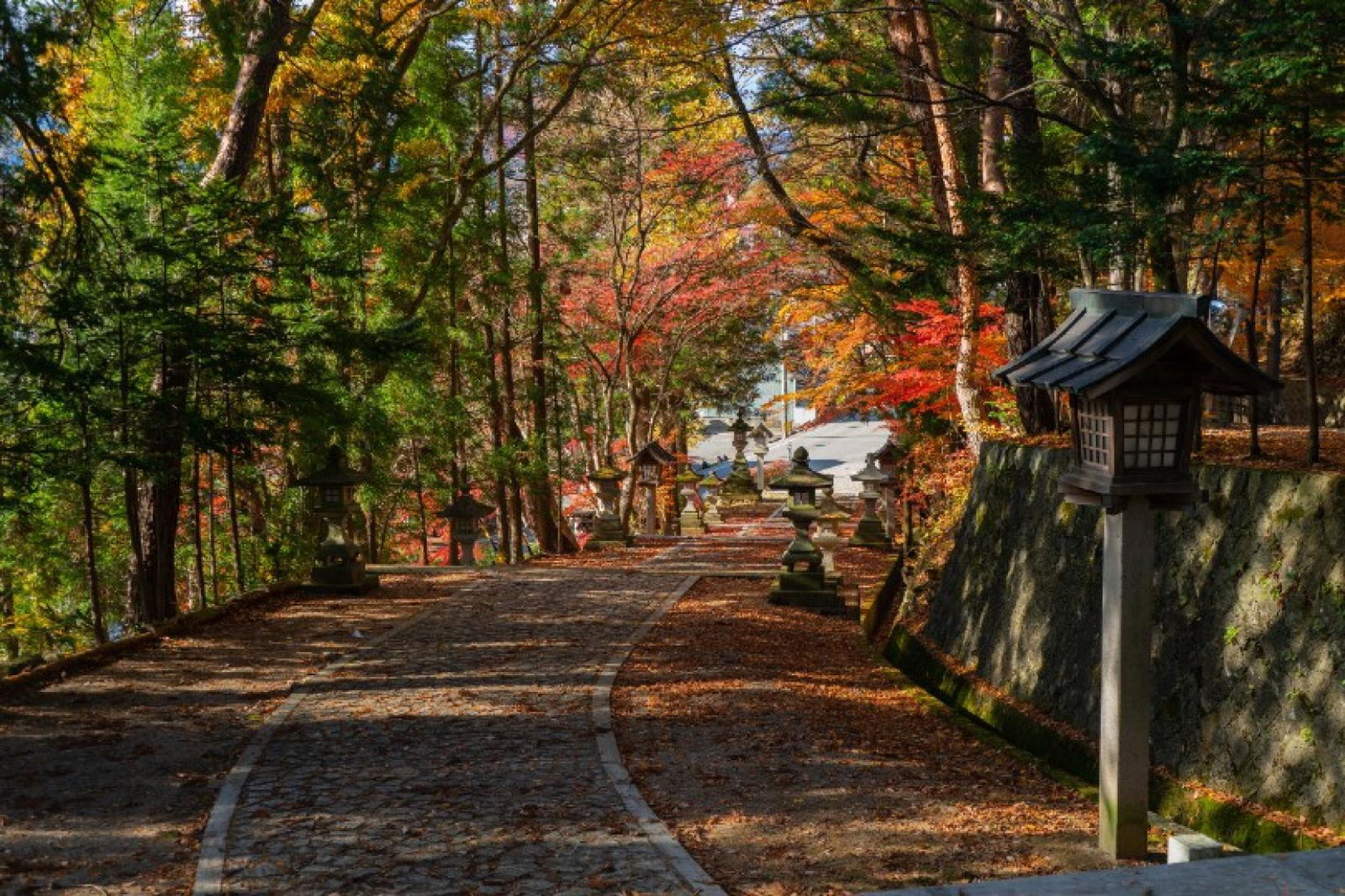 The operator offers an 11-day Back Roads of Japan tour (Credit: Lucas Calloch / Unsplash)