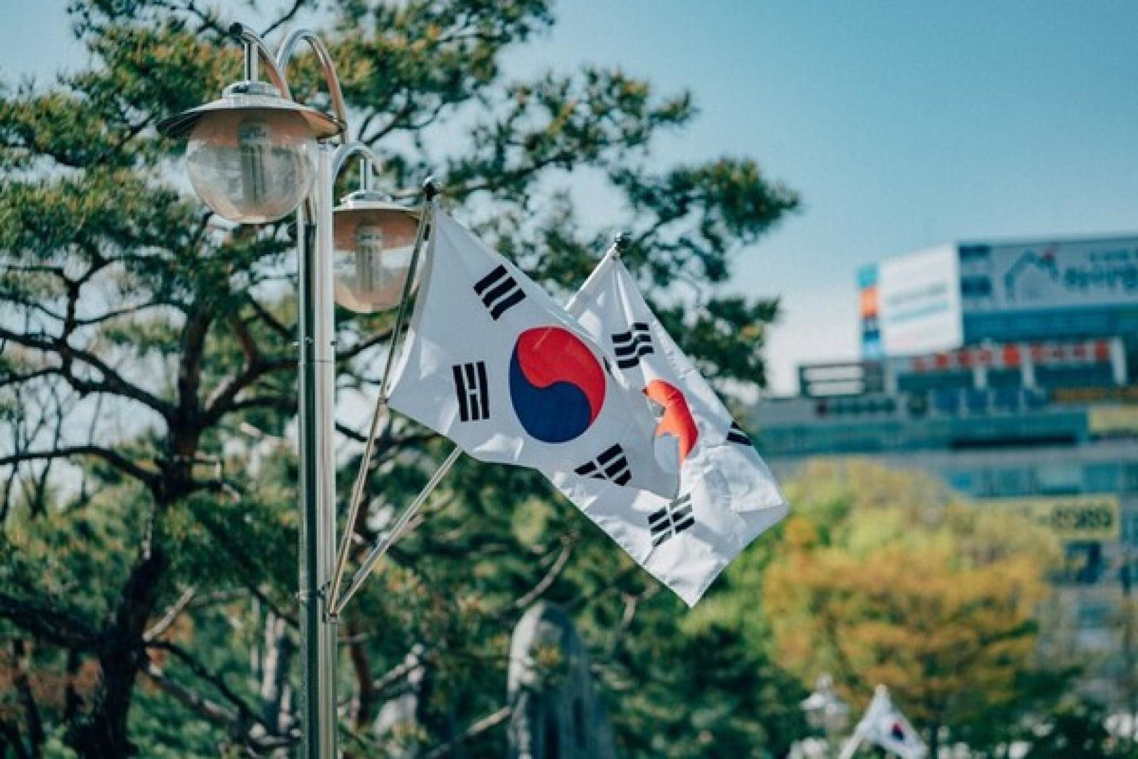 South Korea Flag daniel-bernard-qjsmpf0aO48-unsplash.jpg (Credit: Daniel Bernard / Unsplash)