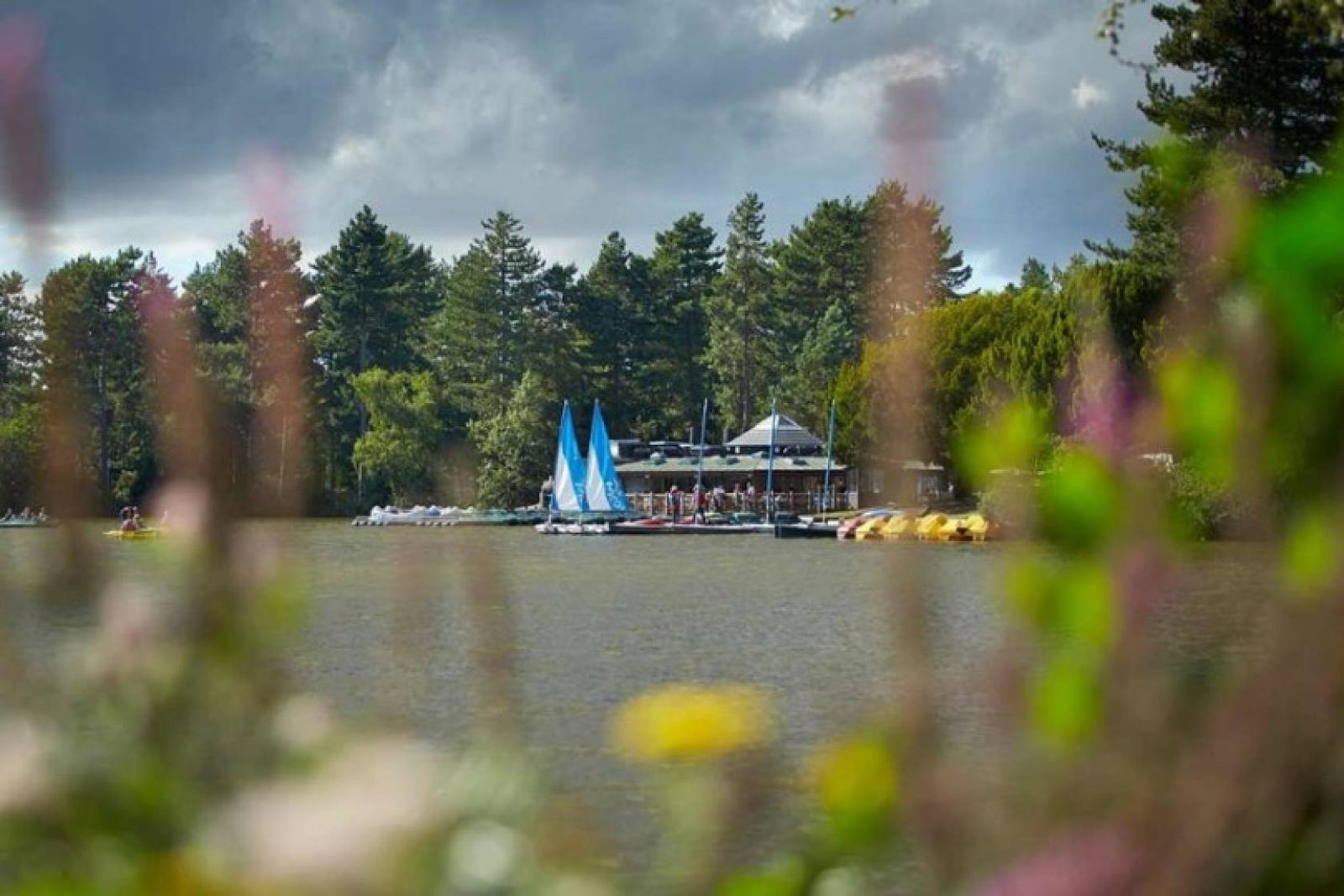 Center Parcs Sherwood Forest (Credit: Center Parcs)