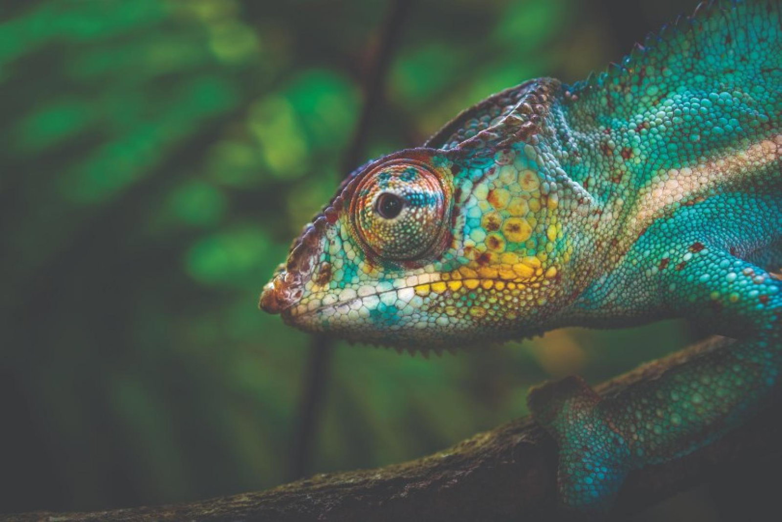 10 ways to promote sustainability in your marketing