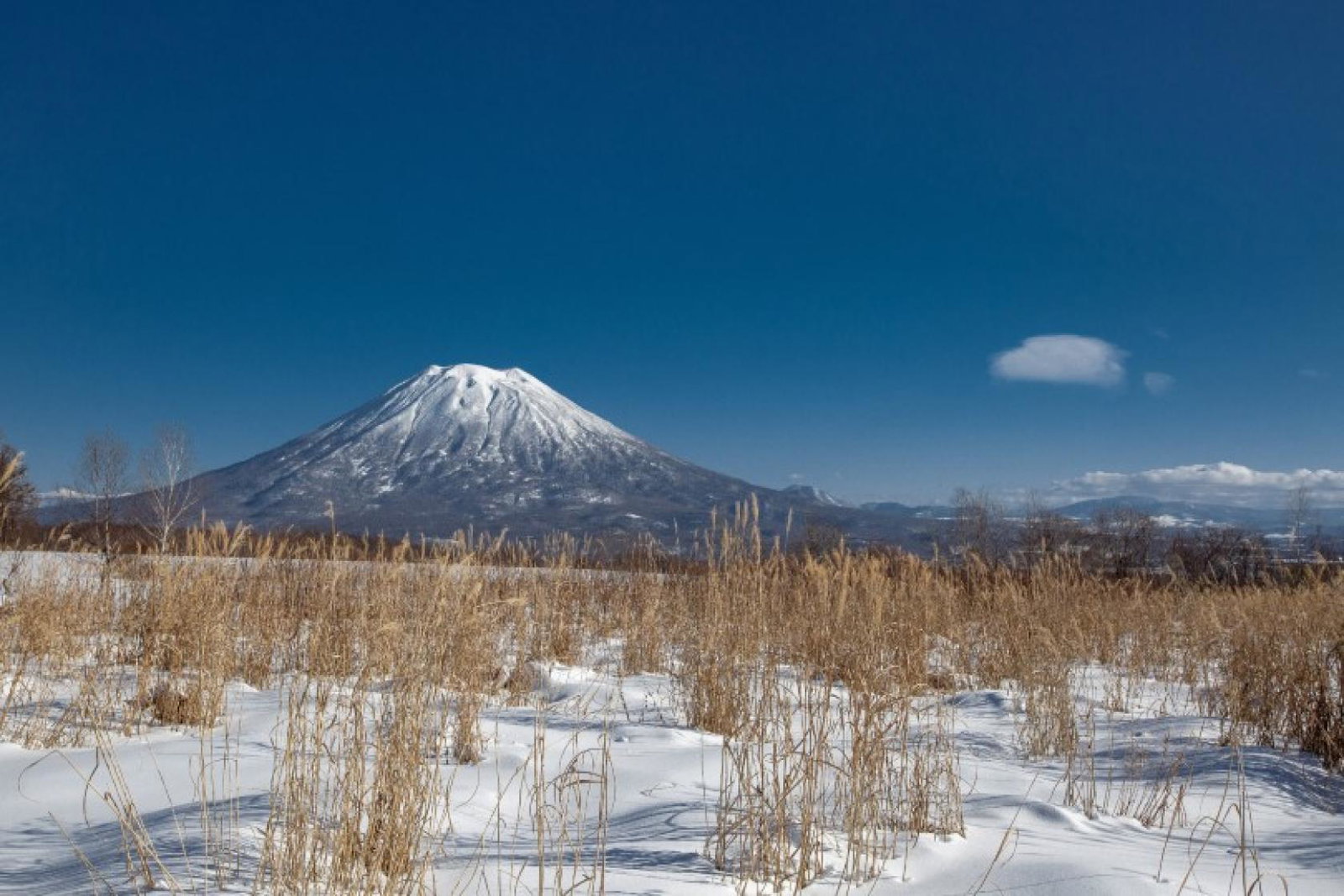 Crystal is offering Japan for the first time this winter (Credit: Marek Okon / Unsplash)