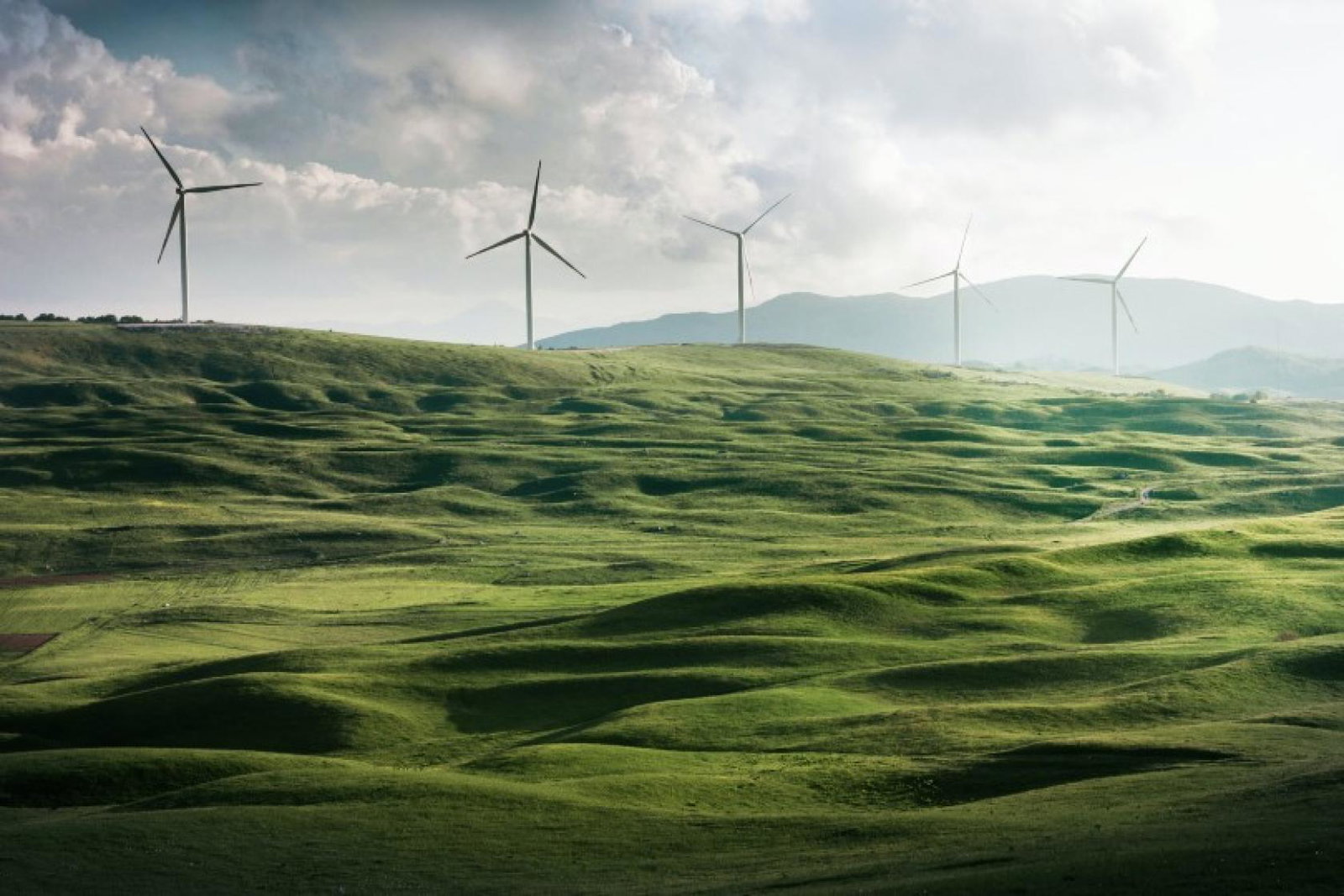 What is truly sustainable versus greenwashing in travel and tourism? (Credit: Unsplash / Appolinary Kalashnikova)