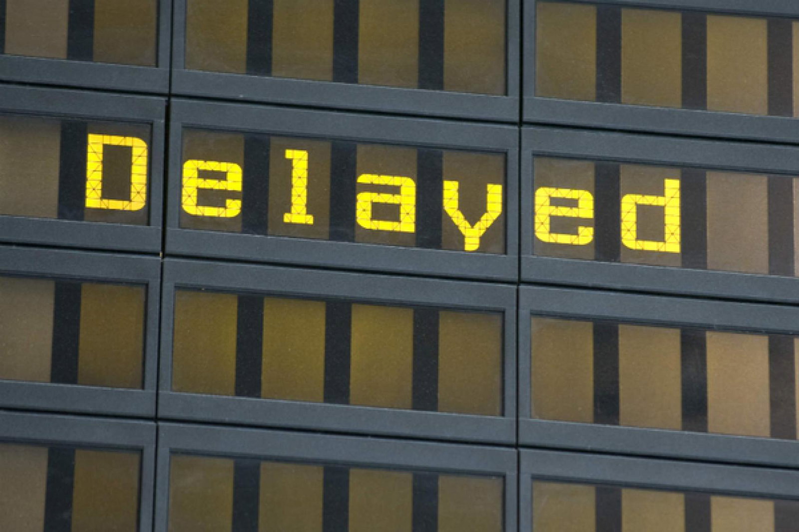 delayed web.jpg