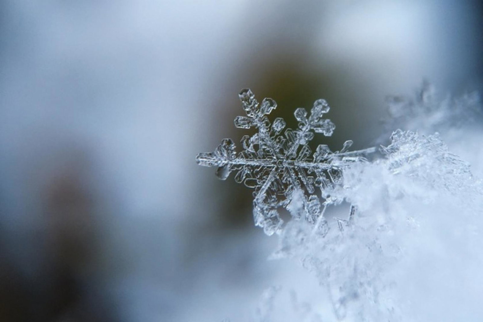 (Credit: Aaron Burden / Unsplash)