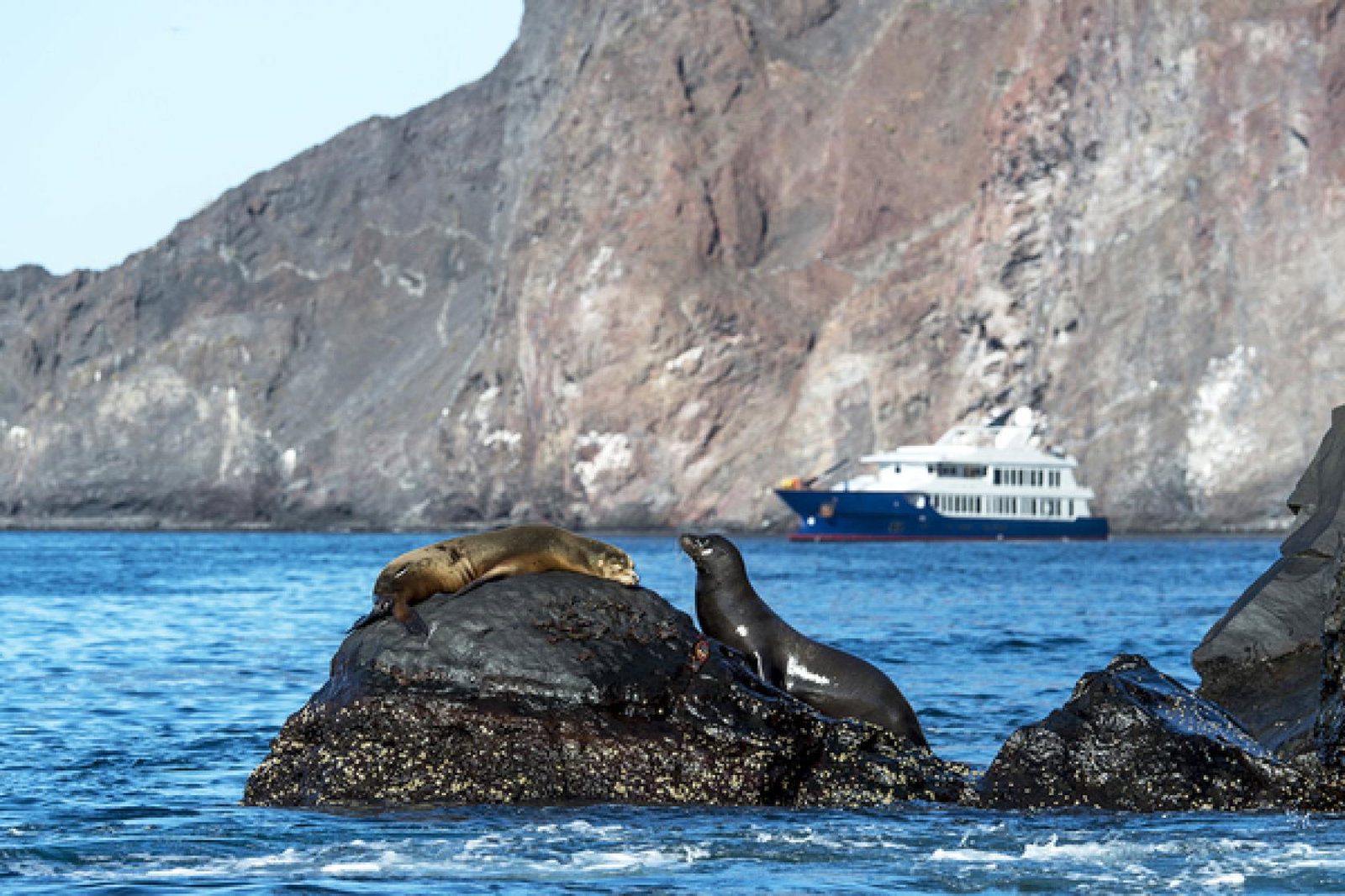 An Ecoventura vessel in the Galapagos