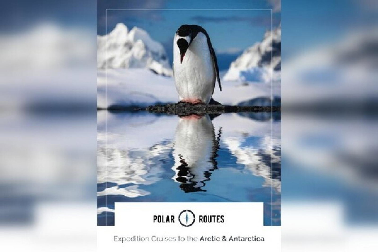 Polar Routes reveals new Antarctica and Arctic cruise brochure