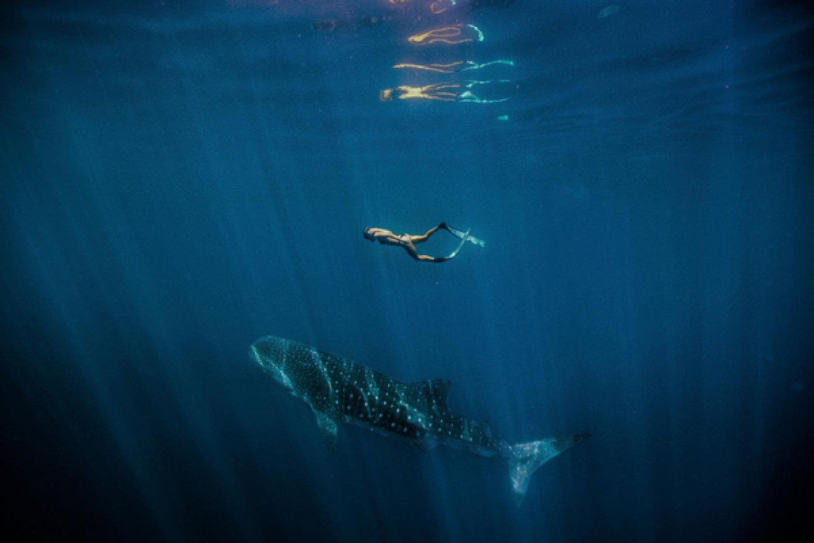 Tourism Western Australia launches new global brand campaign
