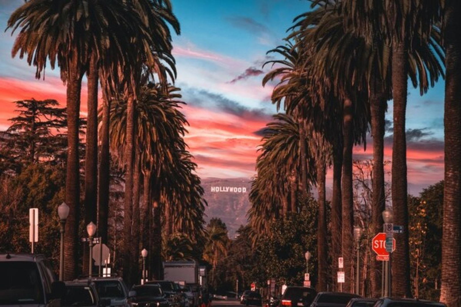 Travel agents will be hosted by Proud Experiences for a three-night stay at Fairmont Century Plaza in LA (Credit: Unsplash / jake-blucker)